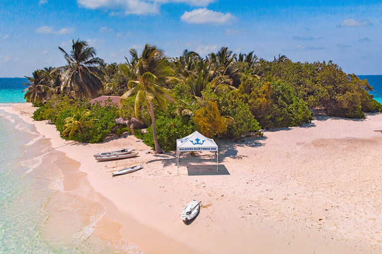 maldives liveaboard