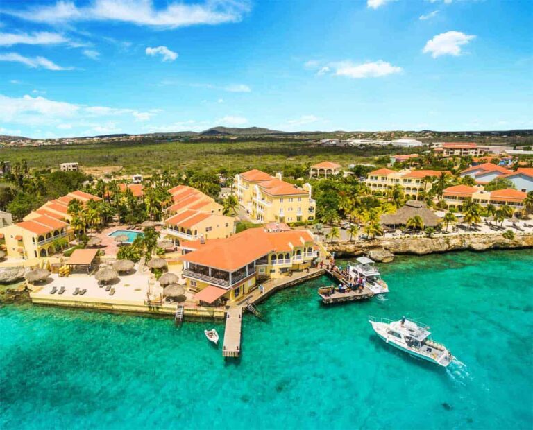 buddy dive resort bonaire