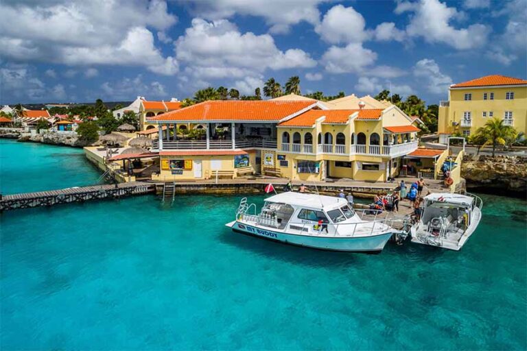 buddy dive resort