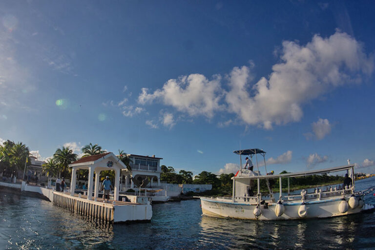 wyndam resort cozumel