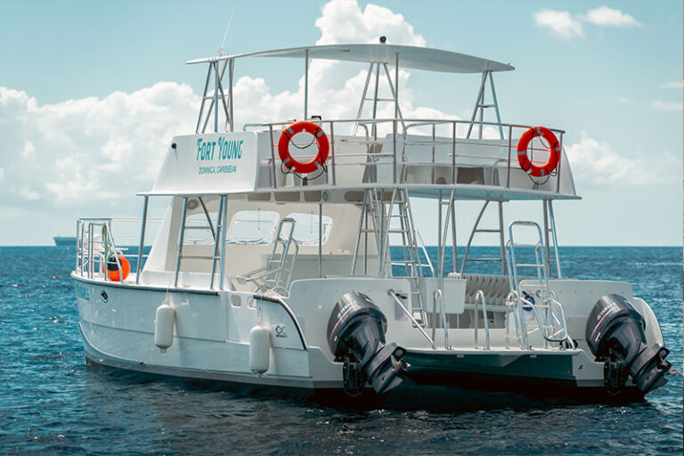 dominica dive resort