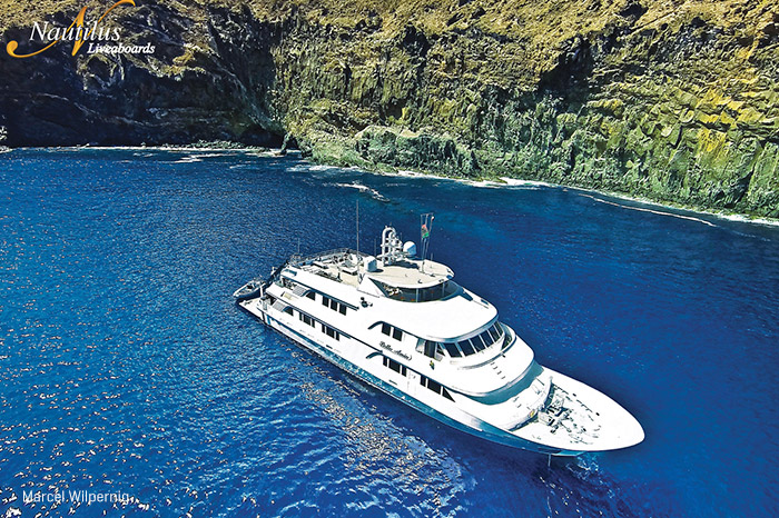 nautilus belle amie