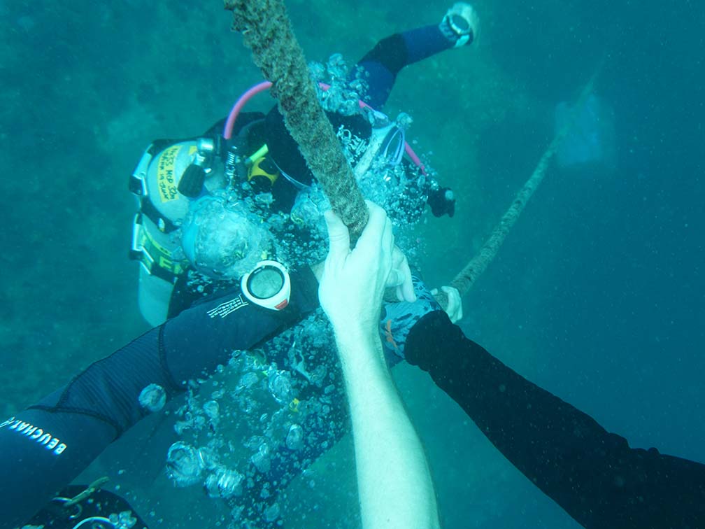 tiger reef